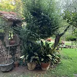 Franca