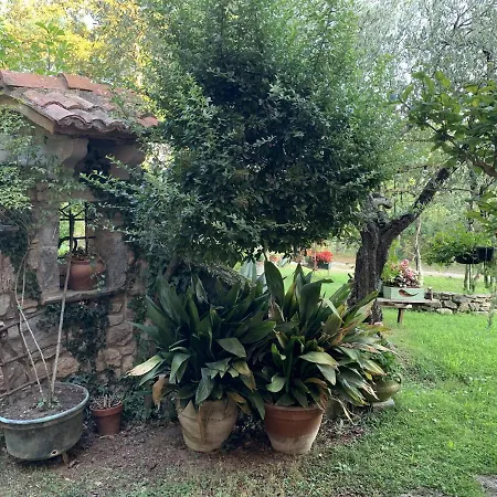 Franca